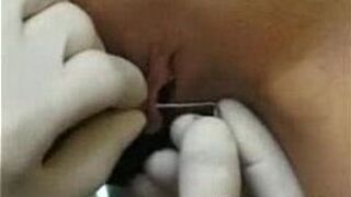 Piersing pussy and brests v6sex free porn search porn video